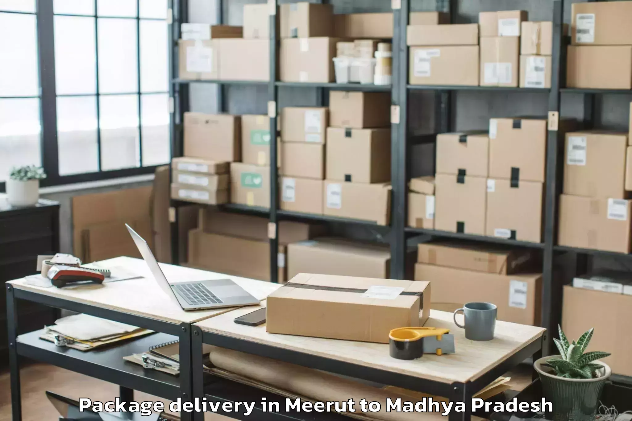 Book Meerut to Narwar Package Delivery